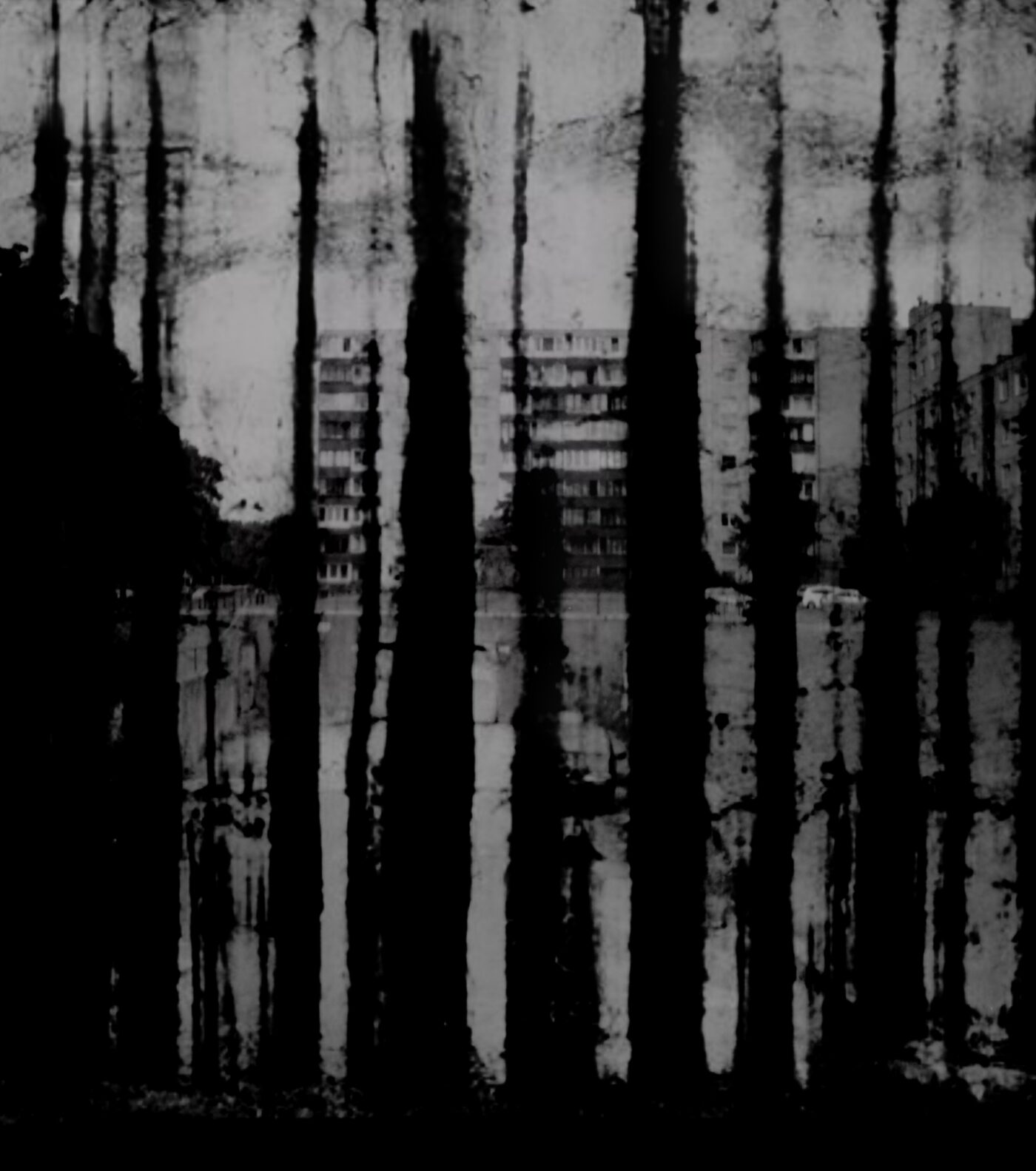 Shreds and Cuttings I