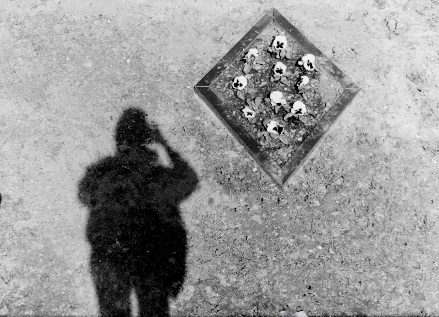 The Ground Between Us (self portrait)