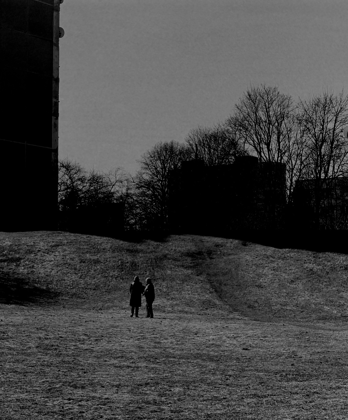 Two Figures Before the Horizon